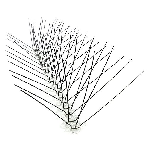 Algopix Similar Product 14 - BirdX Original Stainless Steel Bird