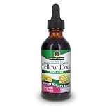 Algopix Similar Product 20 - Natures Answer Yellow Dock Root