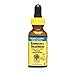 Algopix Similar Product 14 - Natures Answer Echinacea and