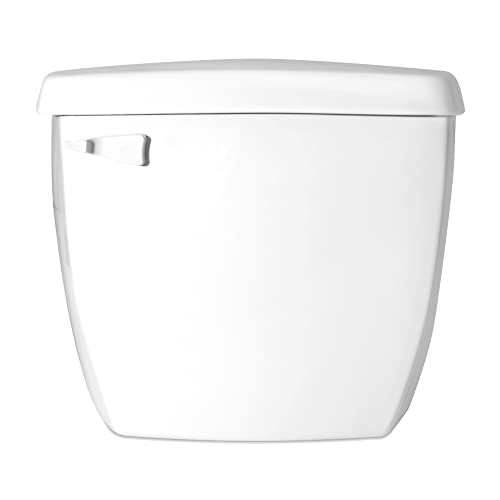 Algopix Similar Product 11 - SANIFLO Toilet Tank  Residential  EPA