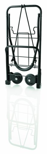 Algopix Similar Product 14 - Travel Smart by Conair TS34FFC Flat