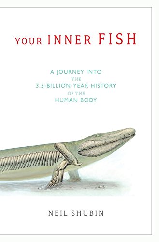 Algopix Similar Product 12 - Your Inner Fish A Journey into the
