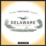 Algopix Similar Product 9 - Delaware - a Subtle Spectacular