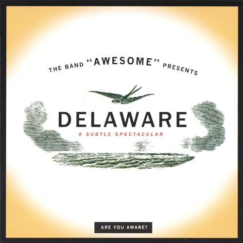 Algopix Similar Product 11 - Delaware - a Subtle Spectacular