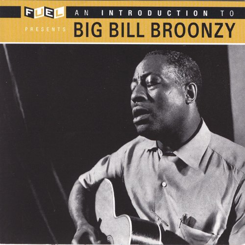 Algopix Similar Product 10 - An Introduction To Big Bill Broonzy