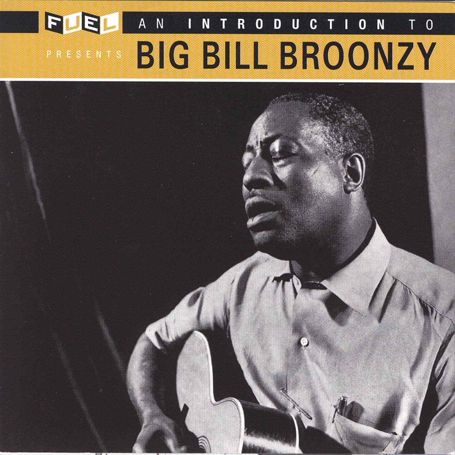 Algopix Similar Product 2 - An Introduction To Big Bill Broonzy
