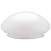 Algopix Similar Product 2 - WESTINGHOUSE LIGHTING CORP 85613 6