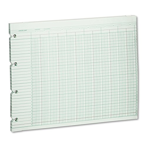 Algopix Similar Product 2 - Wilson Jones G1020 Accounting Sheets