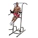 Algopix Similar Product 9 - BodySolid GVKR82B Vertical Knee