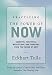 Algopix Similar Product 7 - Practicing the Power of Now Essential