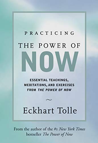 Algopix Similar Product 6 - Practicing the Power of Now Essential