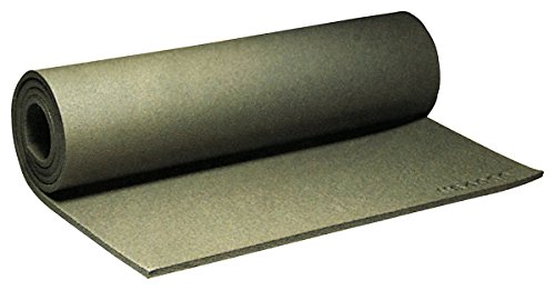Algopix Similar Product 15 - G.I. Foam Sleeping Pad