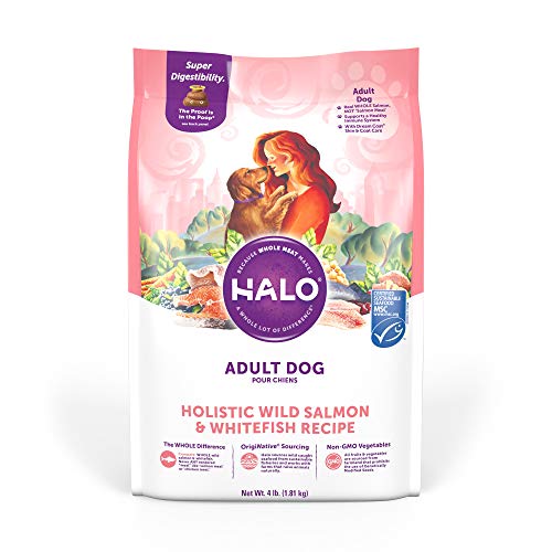 Algopix Similar Product 15 - Halo Adult Dry Dog Food Wild Salmon 