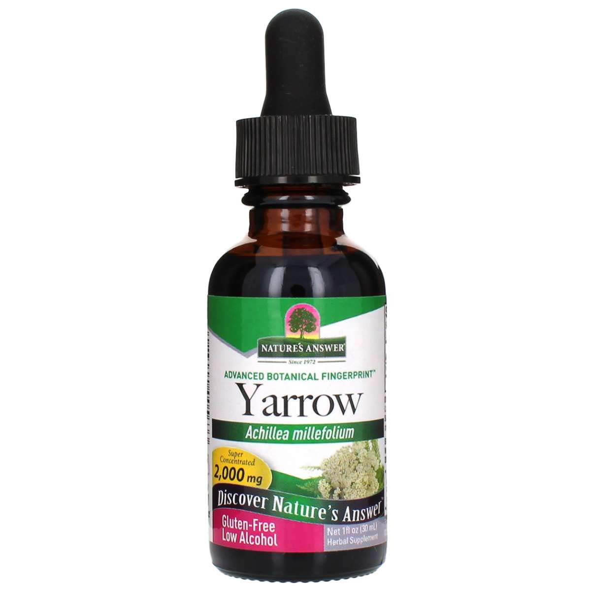 Algopix Similar Product 3 - Natures Answer Yarrow Flowers Dried
