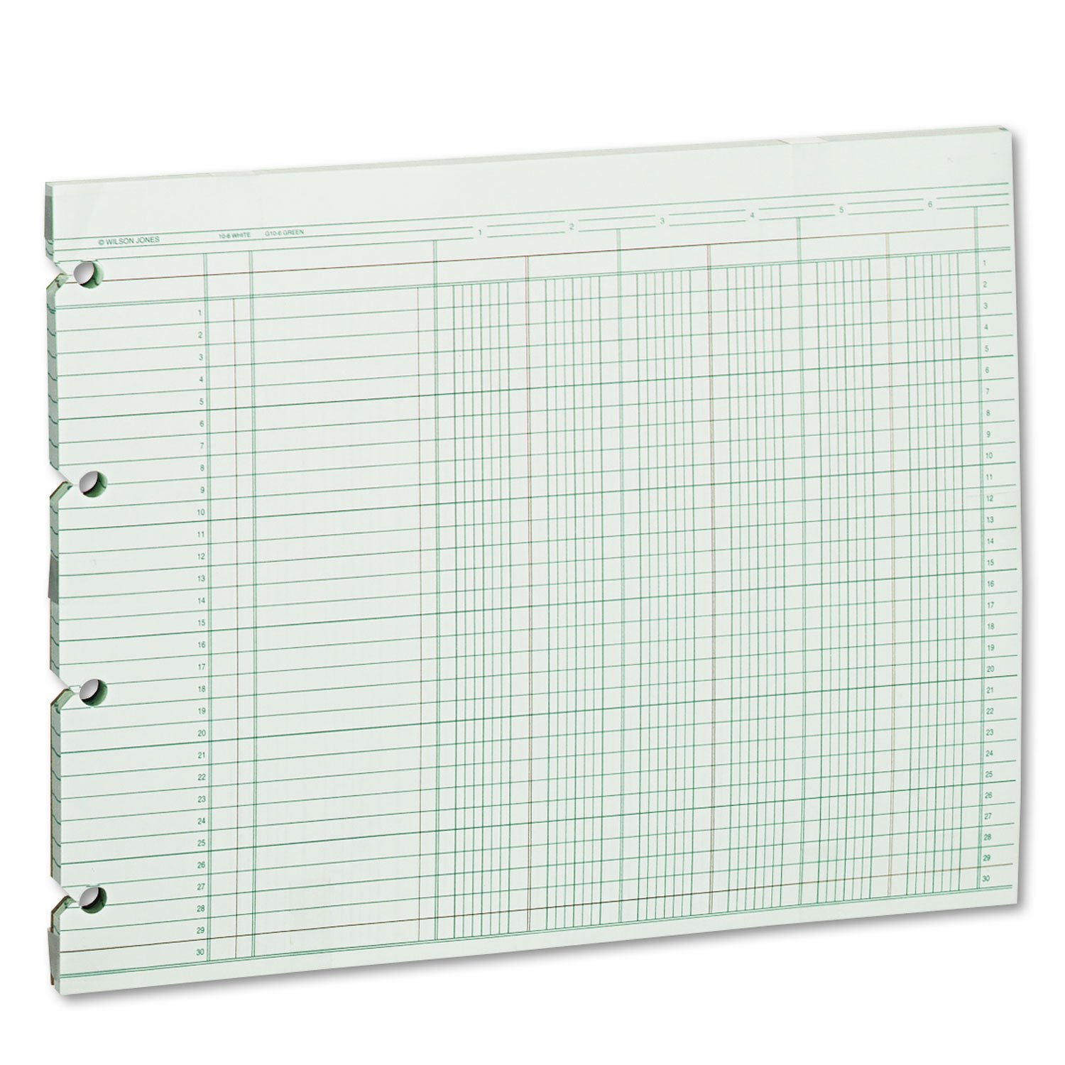 Algopix Similar Product 3 - Wilson Jones Accounting Sheets Six