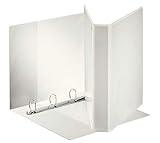 Algopix Similar Product 5 - Esselte 55293 Personalised A4 Maximum