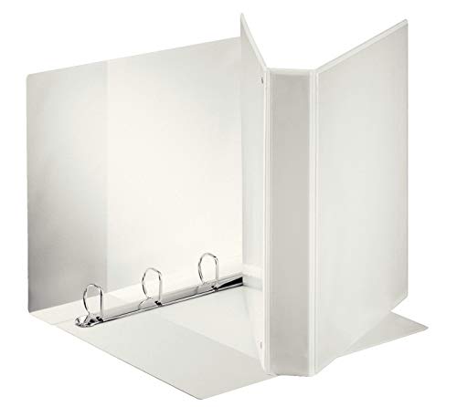 Algopix Similar Product 3 - Esselte 55293 Personalised A4 Maximum