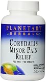 Algopix Similar Product 3 - Planetary Herbals Minor Pain Relief