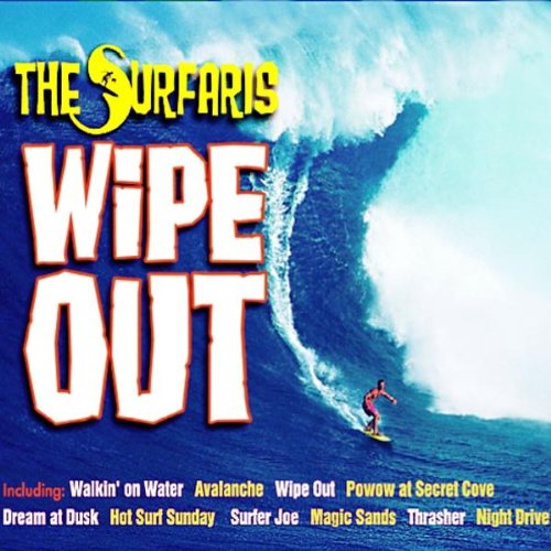 Algopix Similar Product 4 - Wipe Out