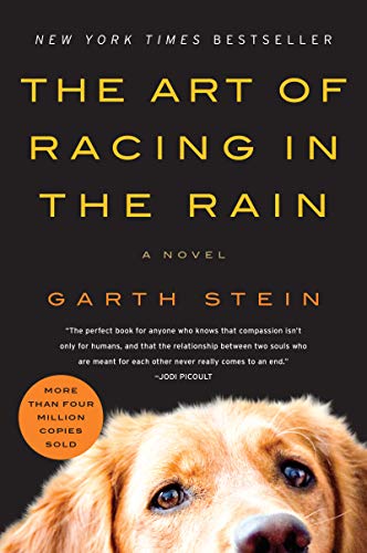 Algopix Similar Product 2 - The Art of Racing in the Rain: A Novel