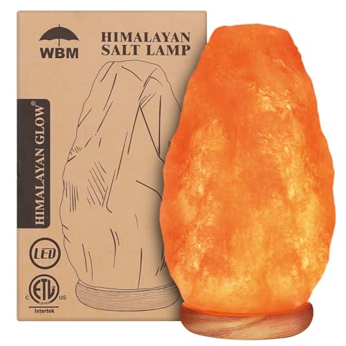 Algopix Similar Product 18 - WBM Salt Lamp USB Himalayan Salt Lamp