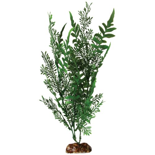Algopix Similar Product 13 - 