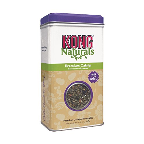 Algopix Similar Product 19 - KONG  Naturals Premium Catnip 