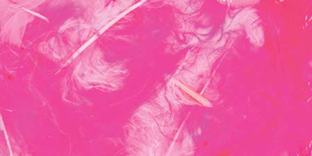 Algopix Similar Product 3 - ZUCKER Large Dyed Marabou Turkey