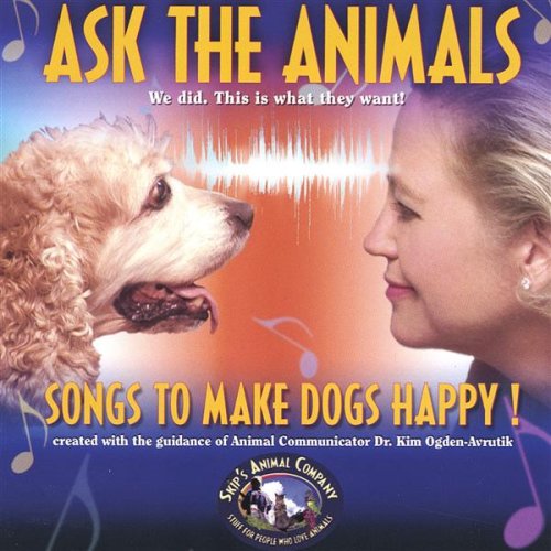 Algopix Similar Product 15 - Adventure Dog
