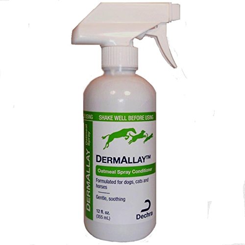 Algopix Similar Product 17 - Oatmeal Conditioner, 12 oz. Y