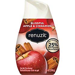 Algopix Similar Product 3 - Renuzit Apple  Cinnamon Adjustable Air
