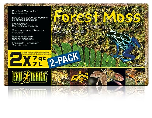Algopix Similar Product 4 - Exo Terra Forest Plume Moss 7 Quarts