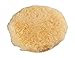 Algopix Similar Product 1 - KWB  QUICKSTICK Polishing Bonnet