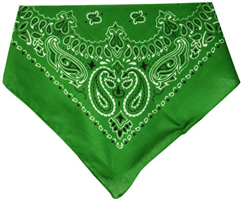 Algopix Similar Product 5 - CAROLINA HAVAHank Paisley Bandanna