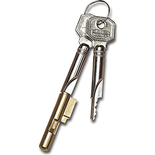 Algopix Similar Product 11 - Burg Wchter Keys