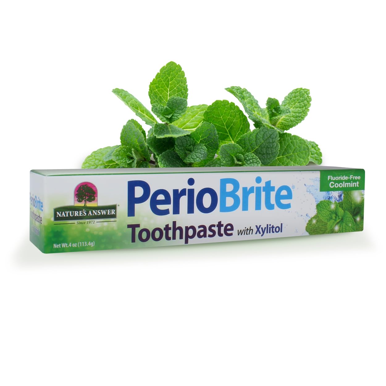 Algopix Similar Product 18 - Natures Answer Periobrite Toothpaste