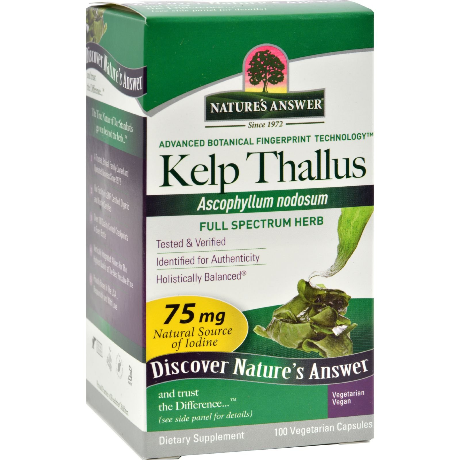 Algopix Similar Product 1 - Kelp Thallus