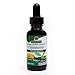 Algopix Similar Product 16 - Nature'S Answer Af Gymnema Leaf 1 Fz