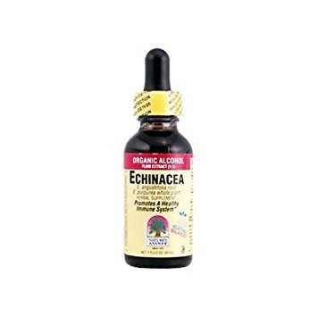 Algopix Similar Product 17 - Natures Answer Hrb Echinacea