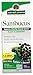 Algopix Similar Product 12 - Natures Answer Sambucus Black Elder