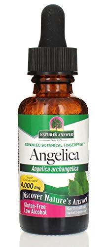 Algopix Similar Product 1 - Natures Answer Angelica Root with