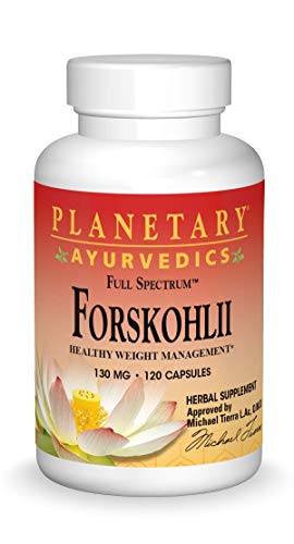 Algopix Similar Product 10 - Planetary Herbals Forskohlii Full