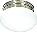 Algopix Similar Product 2 - Nuvo SF76601 One Light Flush Mount