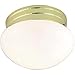 Algopix Similar Product 18 - NUVO SF77059 One Light Mushroom Flush