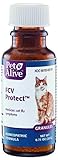 Algopix Similar Product 9 - Petalive Fcv Protect To Temporarily