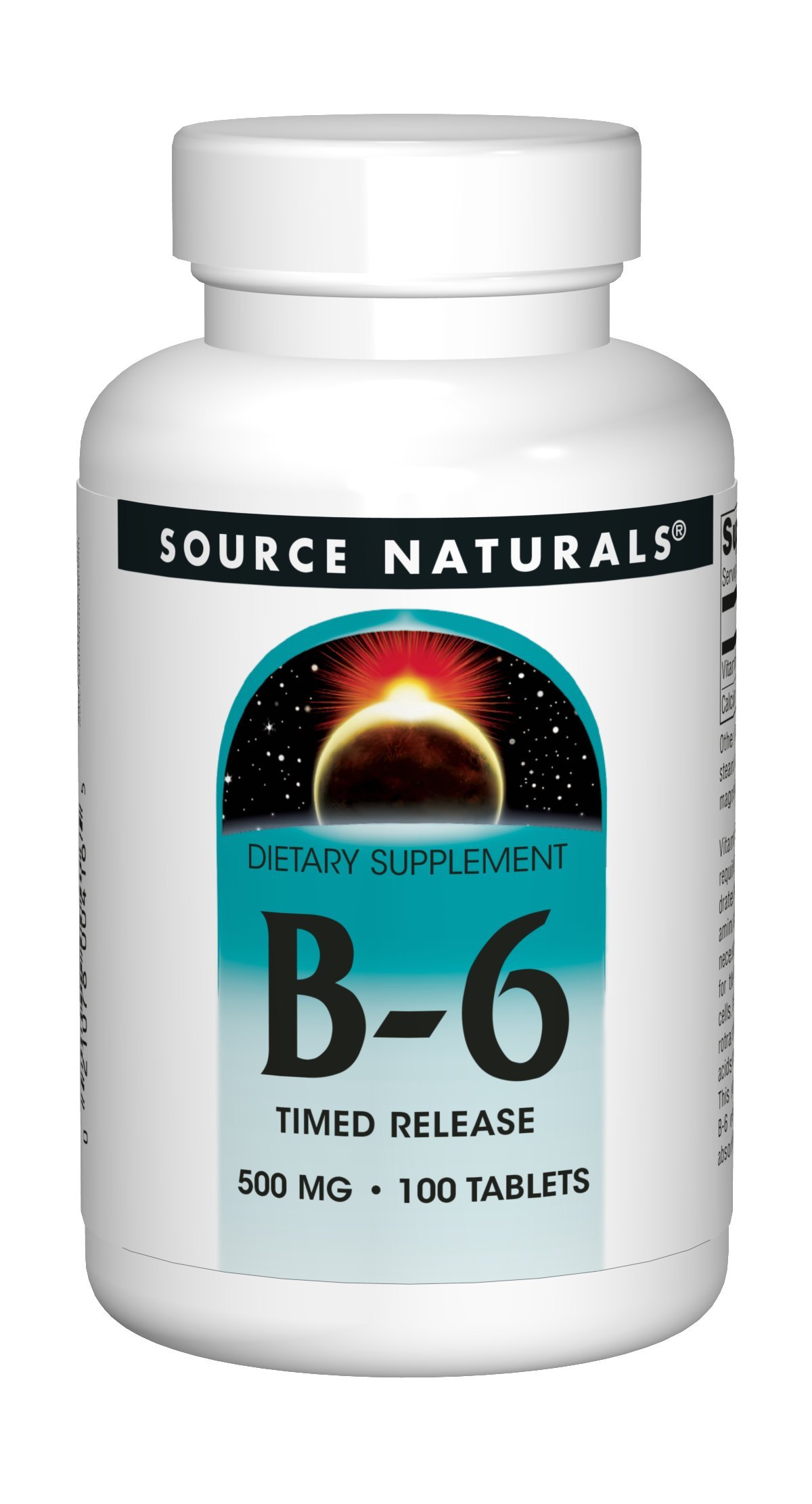 Algopix Similar Product 12 - Vitamin B6 500 mg 100 Timed Release