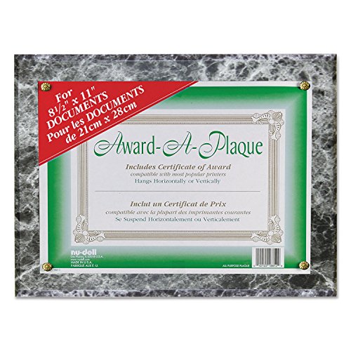 Algopix Similar Product 3 - Nudell Award Plaque 13 x 105 Black