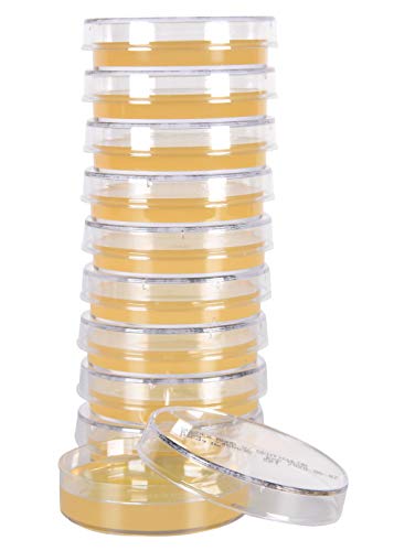 Algopix Similar Product 10 - Sabdex Sabouraud Dextrose Agar with