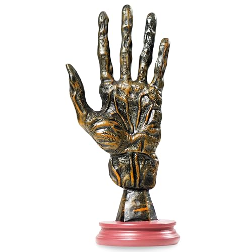 Algopix Similar Product 14 - Palm Reading Hand 5x4x11 Hand Decor