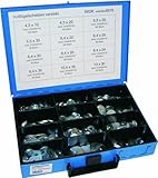 Algopix Similar Product 7 - Dresselhaus 8576 Set of Car Wing Screws